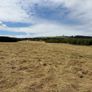 Square Bales Of Premium Quality Hay Image 4