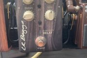Lr baggs align delay pedal