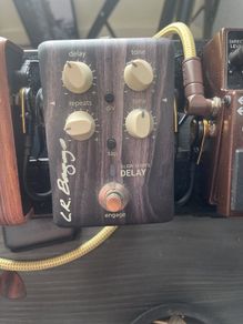 Lr baggs align delay pedal