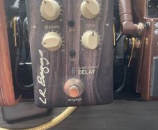 Lr baggs align delay pedal