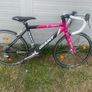 Giant racer bike Image 3