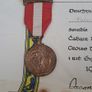 Irish Red Cross Emergency Service Medal and Certificate 1939-1946 Image 4