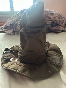 harry potter sorting hat