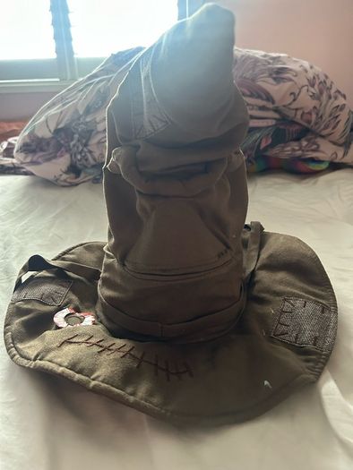 harry potter sorting hat