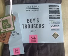 Boys Grey School Trousers