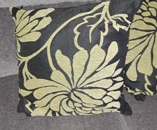 Cushions Covers