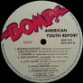 Various  American Youth Report Hardcore Punk Image 3