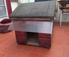 Outdoor dog house
