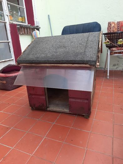 Outdoor dog house