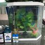 Aquarium / Fish Tank with extras Image 2