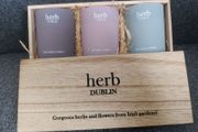 Soy wax candles