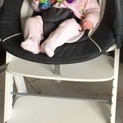 hauck high chair & bouncer