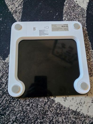 Bathroom scale