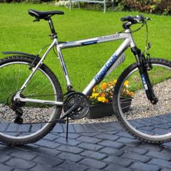Large 22" Frame Guys Used Bike