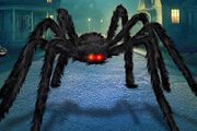 6.5ft Halloween Hairy Spider Outdoor Decorations,Light-up LED Eyes Scary Giant Spider Fake Large Spider Hairy Spider Props for Halloween Yard Decorations Party Outdoor and Outdoor Decor, Black
