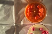 Set of 3 Handmade Soy Candles - Wellove