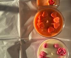Set of 3 Handmade Soy Candles - Wellove