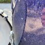 Pearl Reference Series Kit (Kick & Toms) Image 9