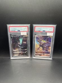 Noivern V 074/067 Psa 10 | Zekrom 195/184 Psa 10 Pokemon Cards
