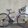 bentini Image 4