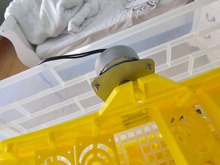 Egg Incubator