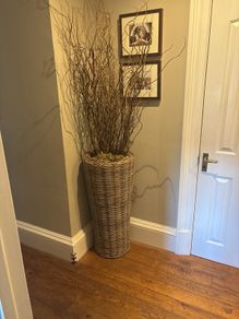 Very tall rattan planter with contorted willow