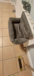 cat bed
