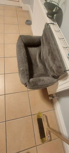 cat bed