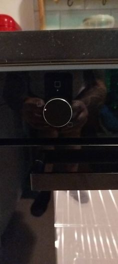 Oven (integrated)