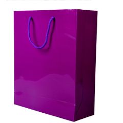 Luxury Purple Gloss Cardboard Gift/Retail/Carrier Bags