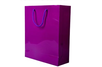 Luxury Purple Gloss Cardboard Gift/Retail/Carrier Bags