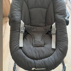 Baby Bouncer