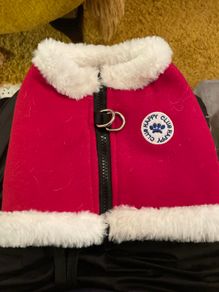 Warm Christmas Dog Harness