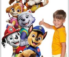 Birthday decor - Paw Patrol Life size cut out