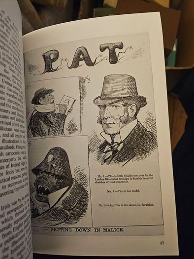 The Irish Face. By National Library Of Ireland. First Edition 1967 Paperback In Good Condition.  See Photos For Same.