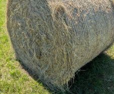 Hay bale