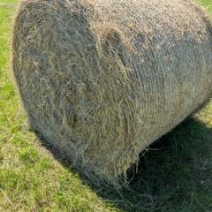 Hay bale