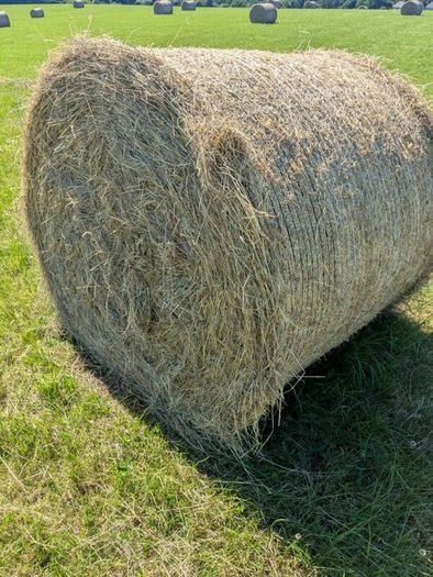Hay bale