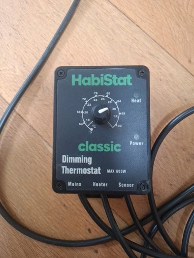 reptile thermostat