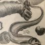 Eye catching sketch in frame Image 2