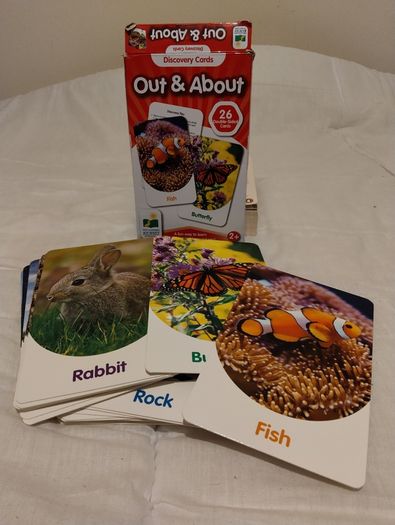 The Learning Journey Discovery Flash Cards