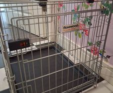 Rosewood Dog Cage - Bought off Very Website