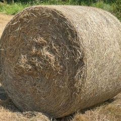 Organic Hay Bales For Sale in Cork