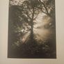 The Book Of Tomnafinnoge. Edited By Sylvia Cullen. Photographs By Terence White. First Edition Large Volume Hardback . See Photos For Same. Image 10