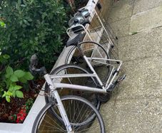 Free bike