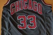 Chicago Bulls Scottie Pippen jersey
