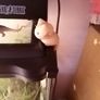 Fat cat toys Image 4