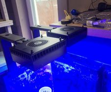 red sea led