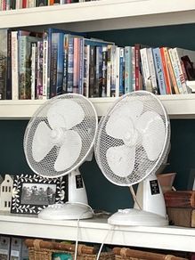 Electric fan