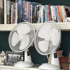 Electric fan